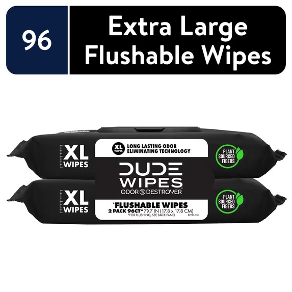 DUDE Wipes Odor Destroyer Flushable Wipes, XL Wet Wipes, Deodorizing with Clean Scent, 48 Count, 2 Pack